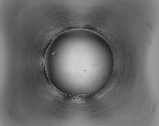 X0000115680624200911121247