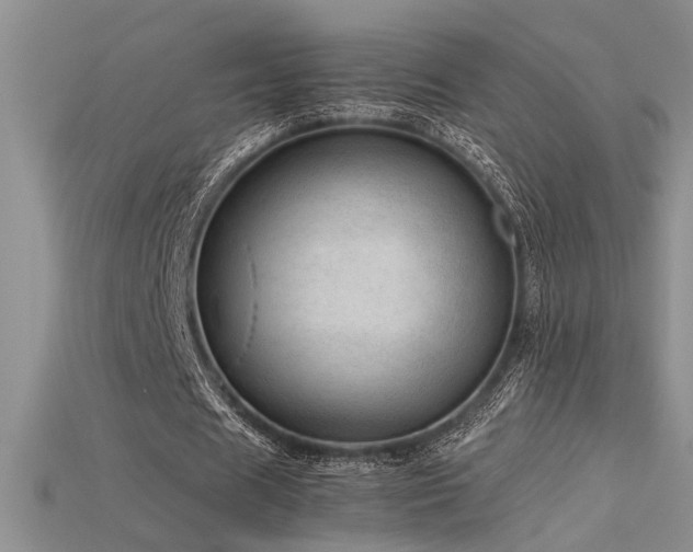 X0000115680625200911121247