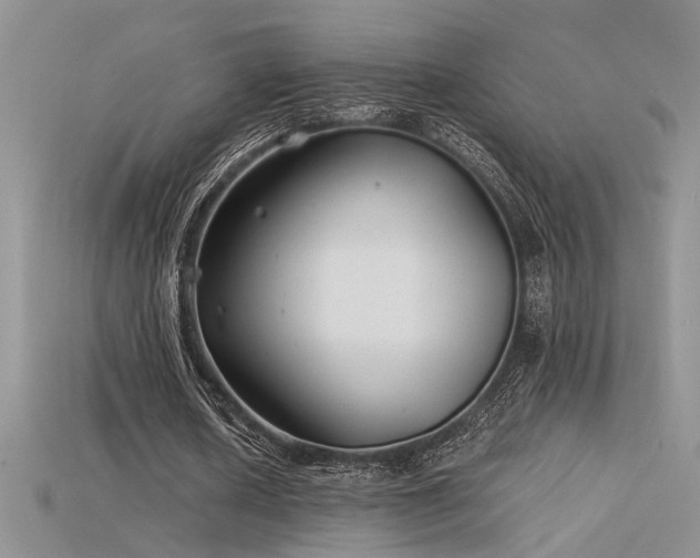 X0000115680626200911121247