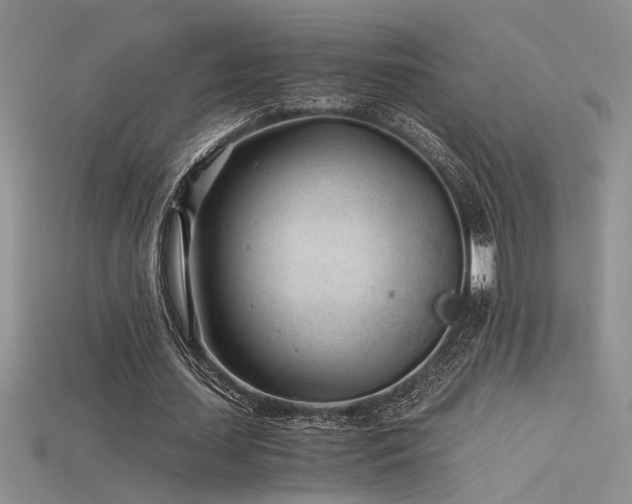 X0000115680627200911121247