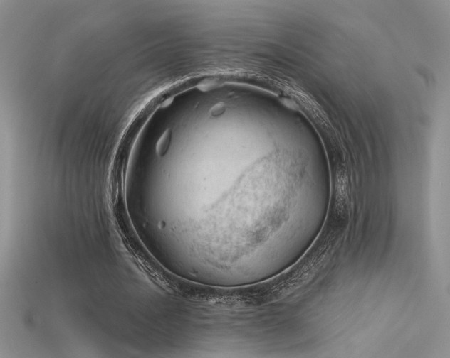 X0000115680628200911121247