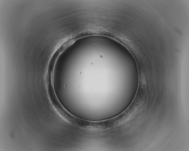 X0000115680630200911121247