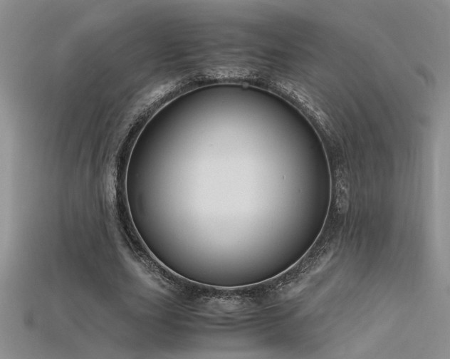 X0000115680631200911121247