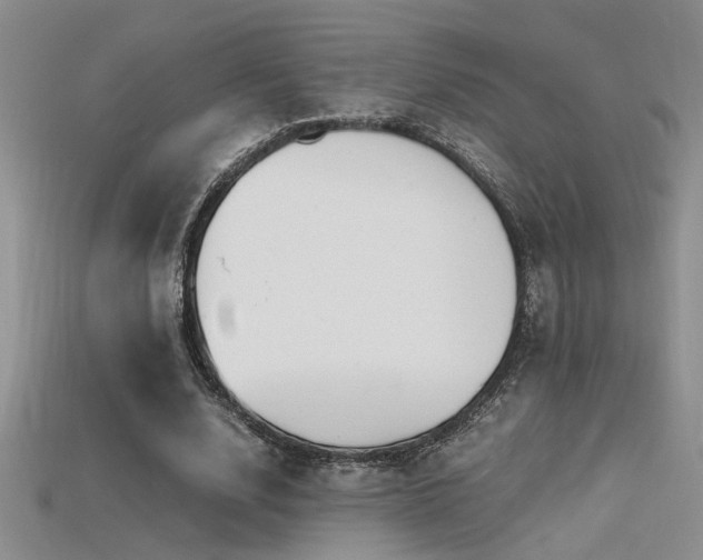 X0000115680632200911121247