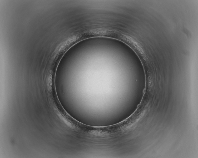 X0000115680633200911121247