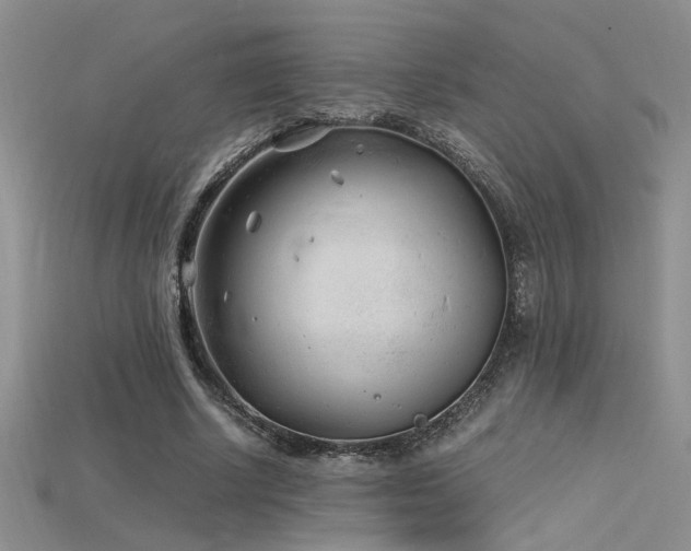 X0000115680634200911121247