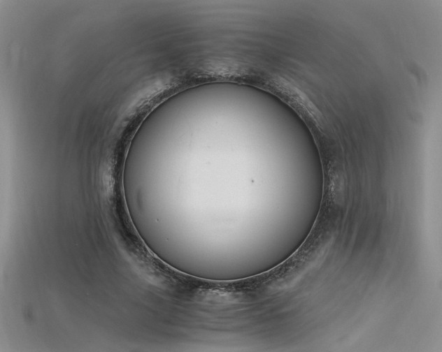 X0000115680635200911121247