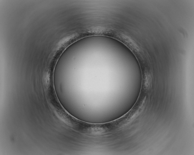 X0000115680636200911121247