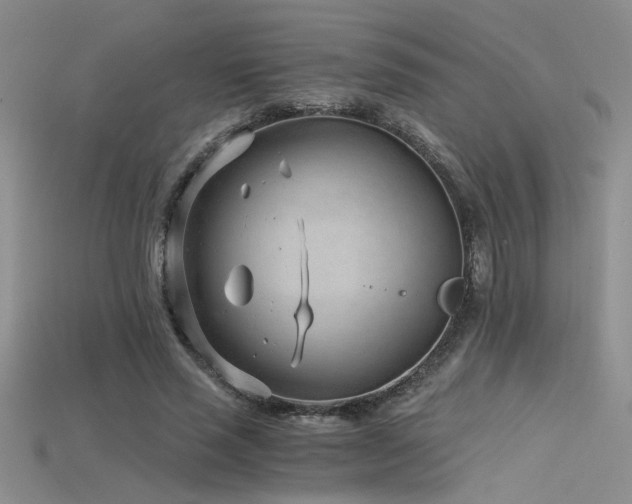 X0000115680637200911121247