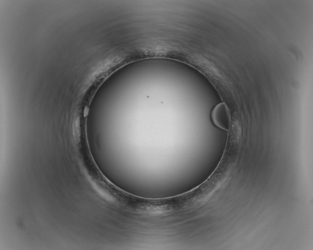 X0000115680638200911121247