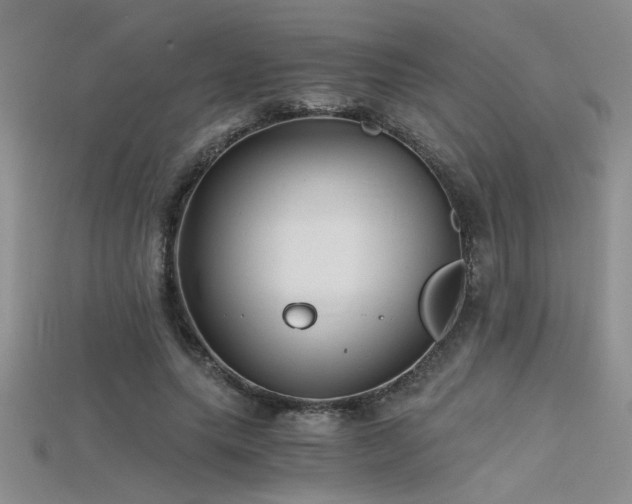 X0000115680639200911121247