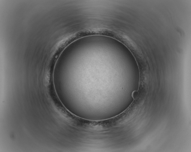 X0000115680640200911121247