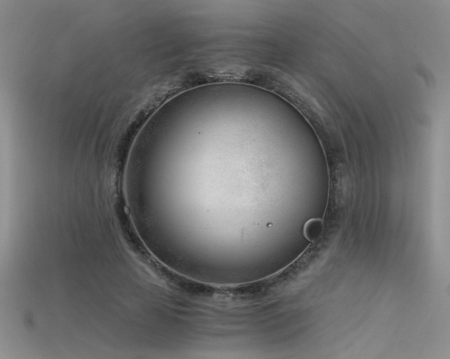 X0000115680641200911121247