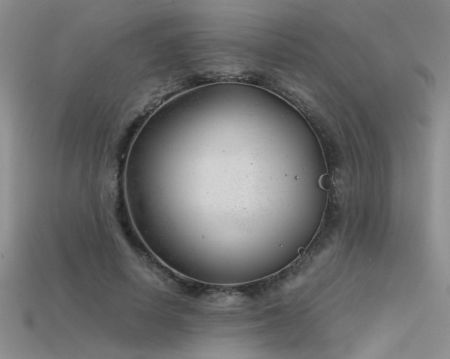 X0000115680642200911121247