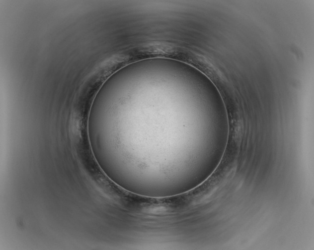 X0000115680643200911121247