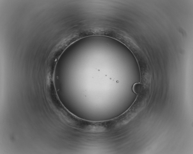 X0000115680644200911121247