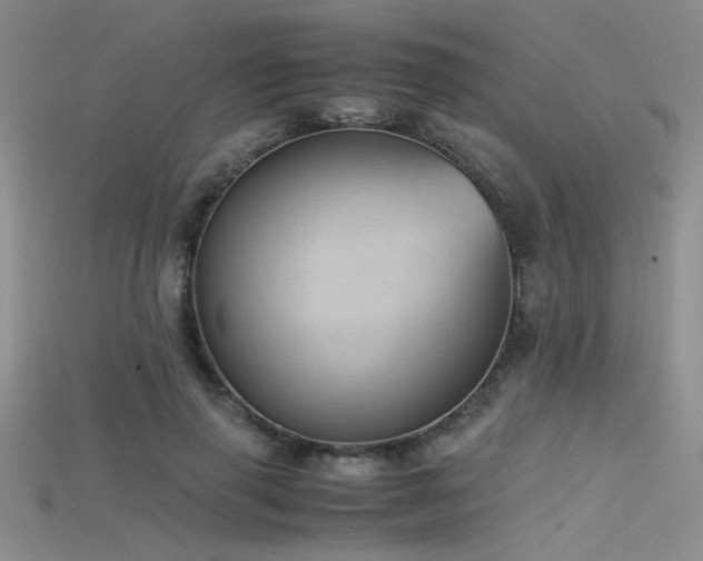 X0000115680645200911121247