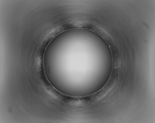 X0000115680646200911121247