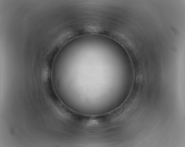 X0000115680647200911121247