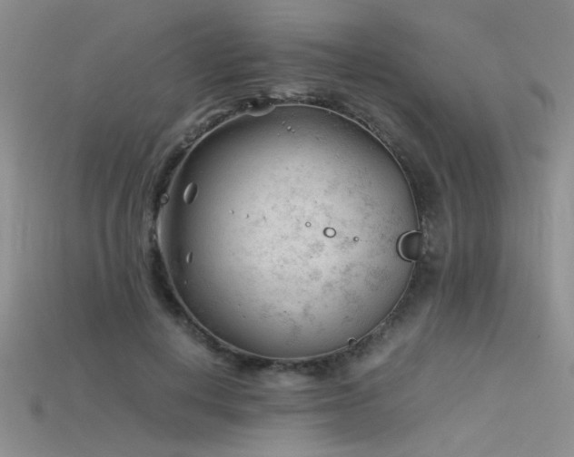 X0000115680648200911121247