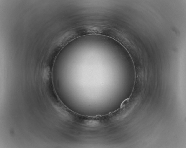 X0000115680649200911121247