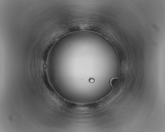 X0000115680650200911121247