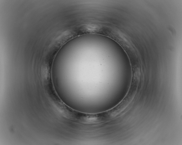 X0000115680651200911121247