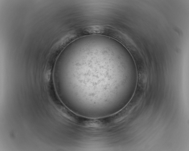 X0000115680652200911121247