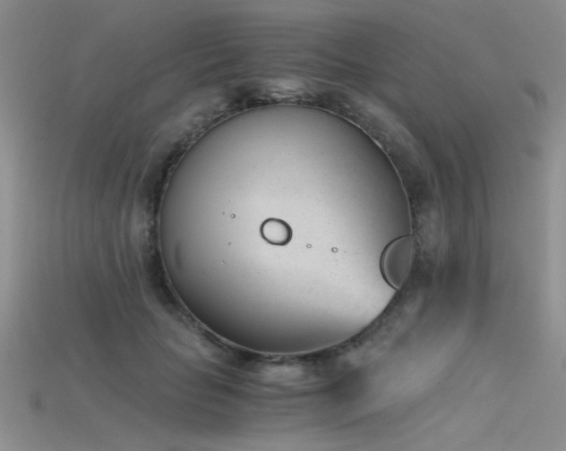 X0000115680653200911121247