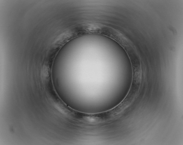 X0000115680654200911121247