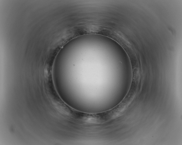 X0000115680655200911121247