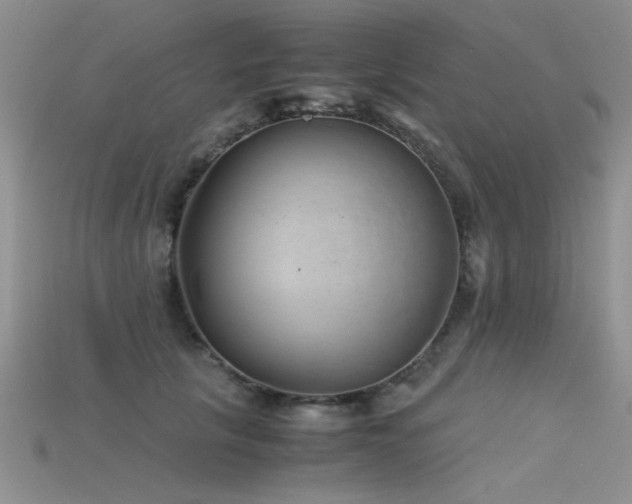 X0000115680657200911121247