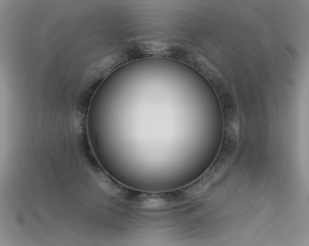 X0000115680658200911121247