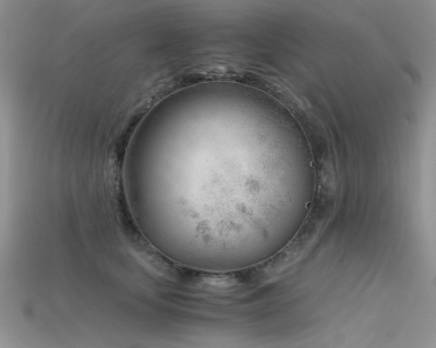 X0000115680659200911121247