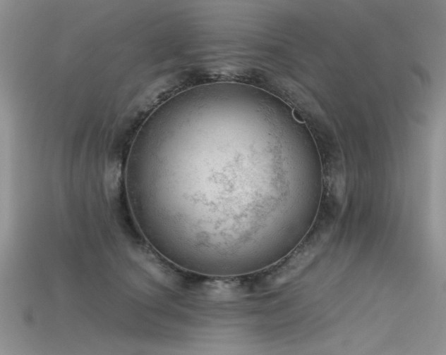 X0000115680660200911121247