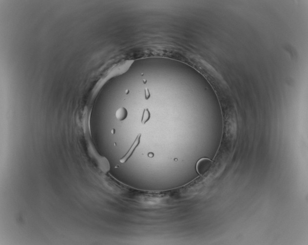 X0000115680661200911121247