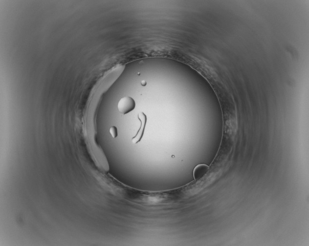 X0000115680662200911121247