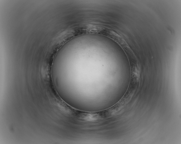 X0000115680663200911121247