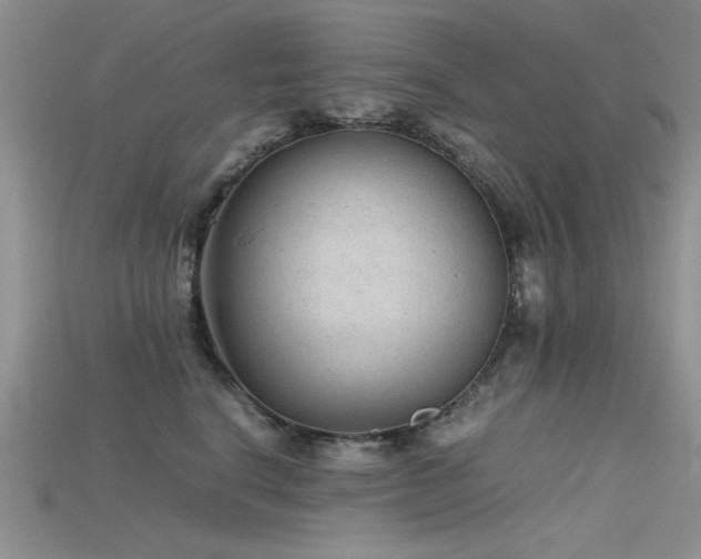 X0000115680664200911121247