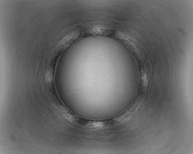 X0000115680665200911121247