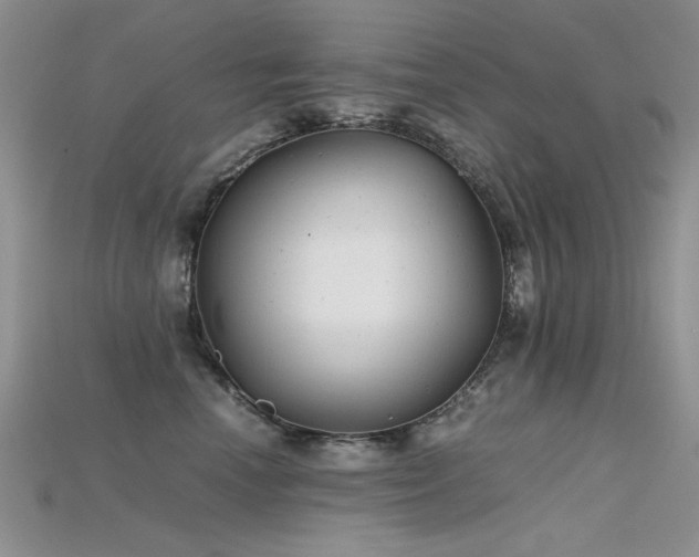 X0000115680666200911121247