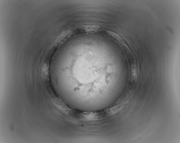 X0000115680667200911121247