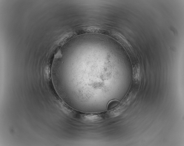 X0000115680669200911121247