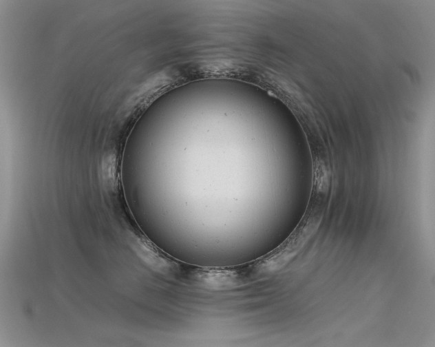 X0000115680670200911121247