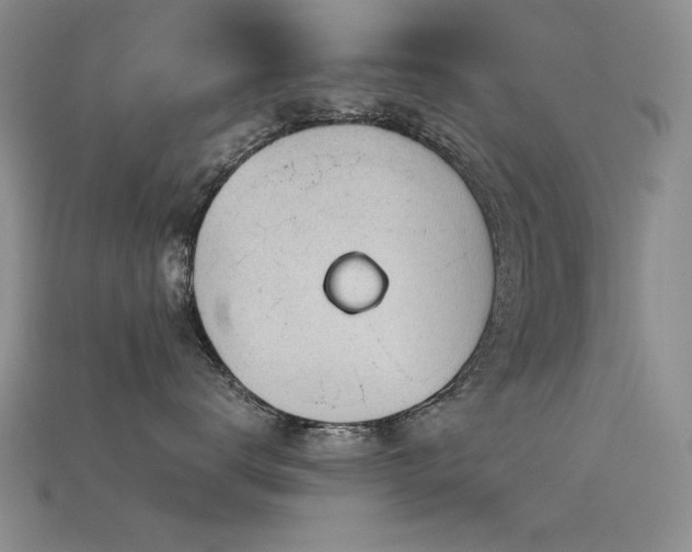 X0000115680672200911121247