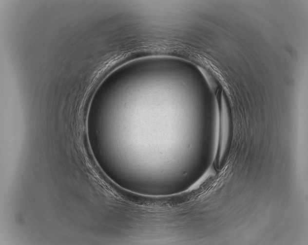 X0000115680673200911121247