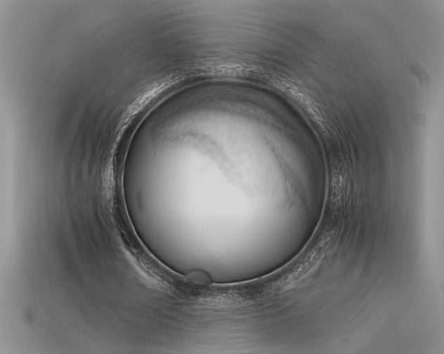 X0000115680674200911121247