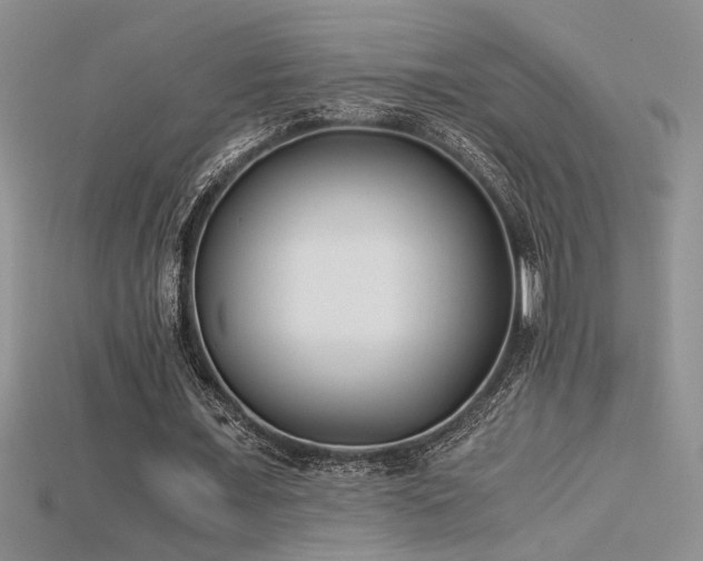 X0000115680675200911121247