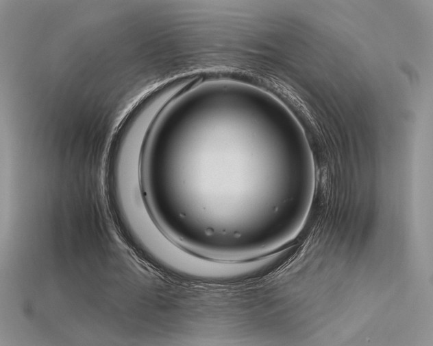 X0000115680676200911121247