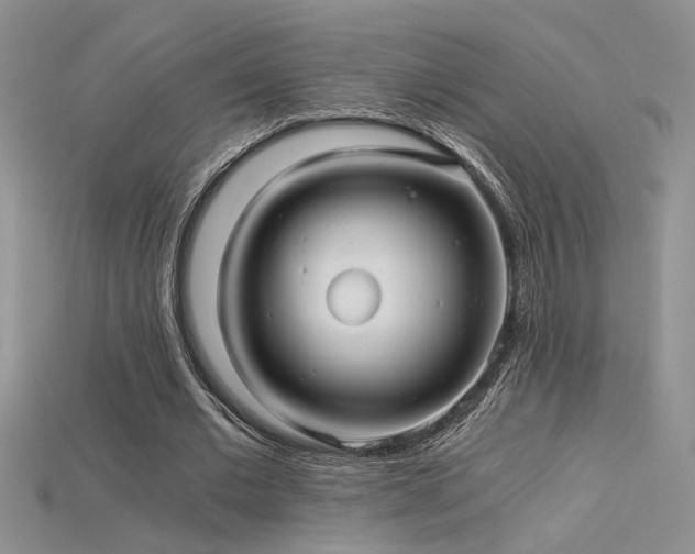 X0000115680677200911121247